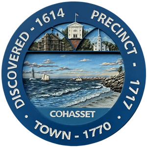 NEW TOWN SEAL 25